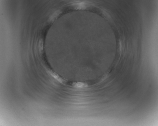 X0000081330230200701182003