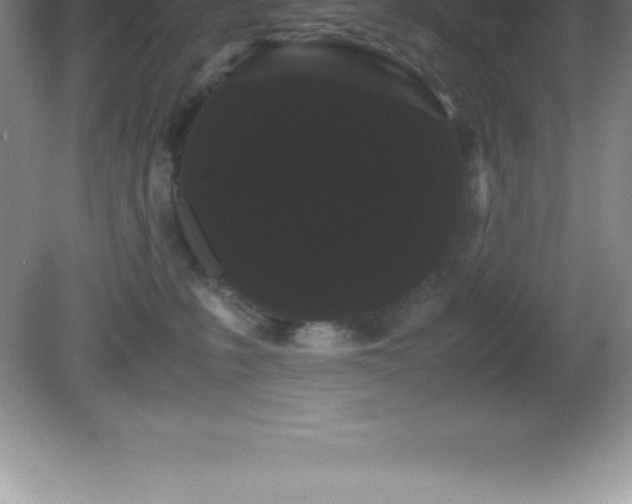 X0000081330231200701182002
