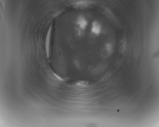 X0000081330232200701182002