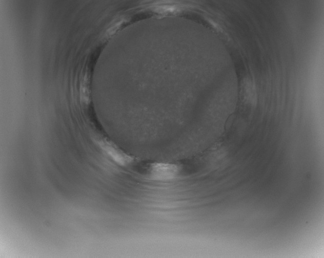 X0000081330234200701182002