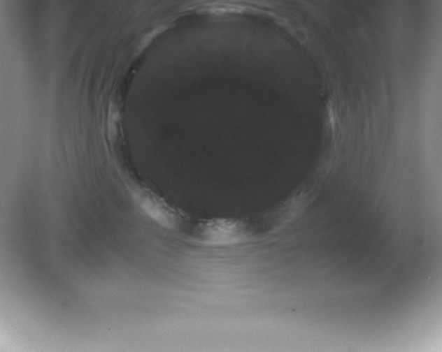 X0000081330235200701182002