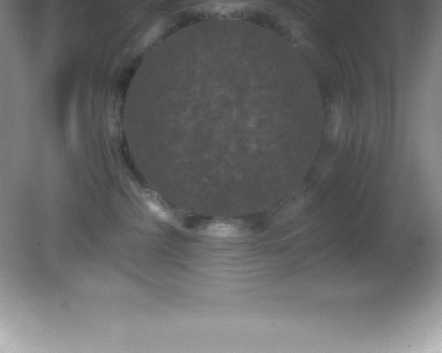 X0000081330236200701182002