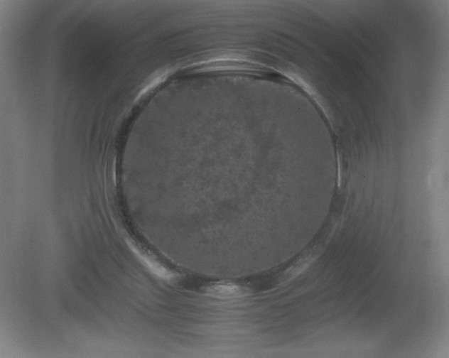 X0000081330253200701182002