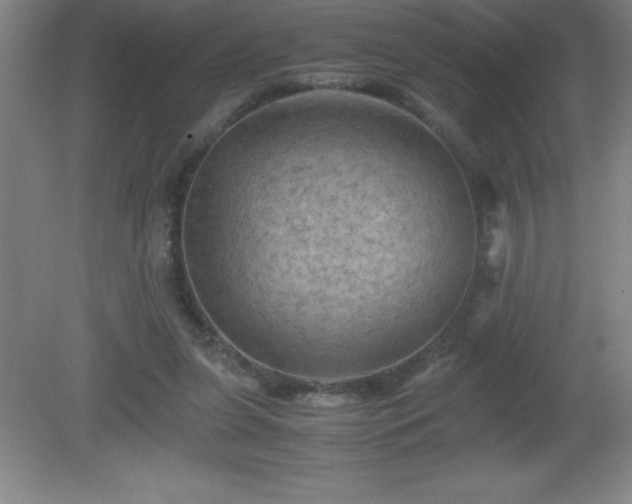 X0000081330255200701182002