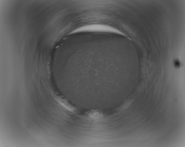 X0000081330258200701182002