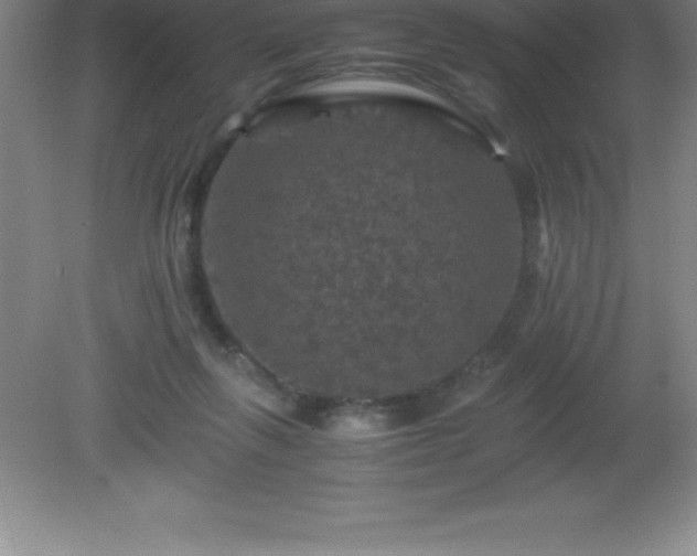 X0000081330263200701182002