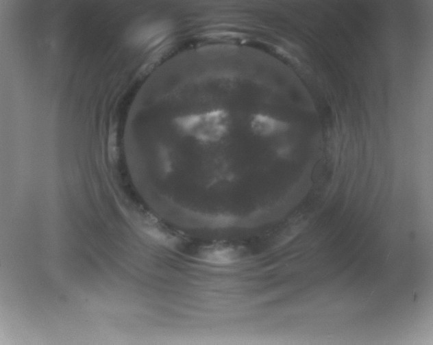X0000081330267200701182002