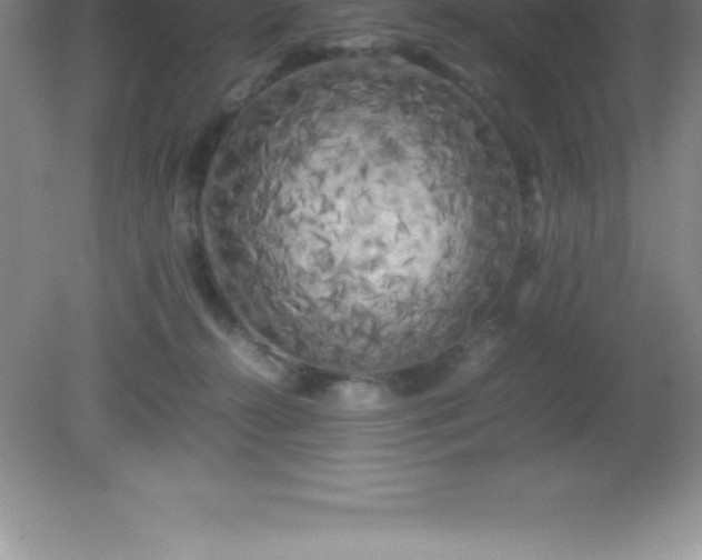 X0000081330272200701182002