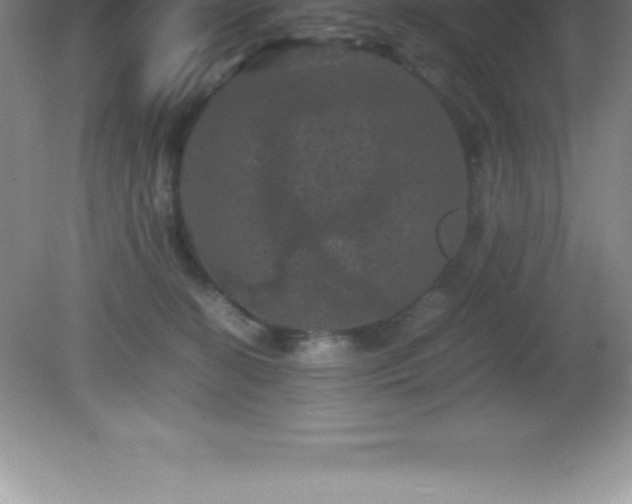 X0000081330274200701182002