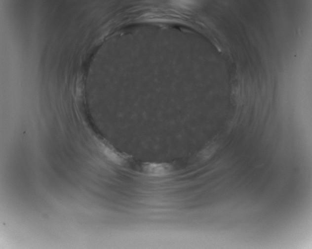 X0000081330277200701182002