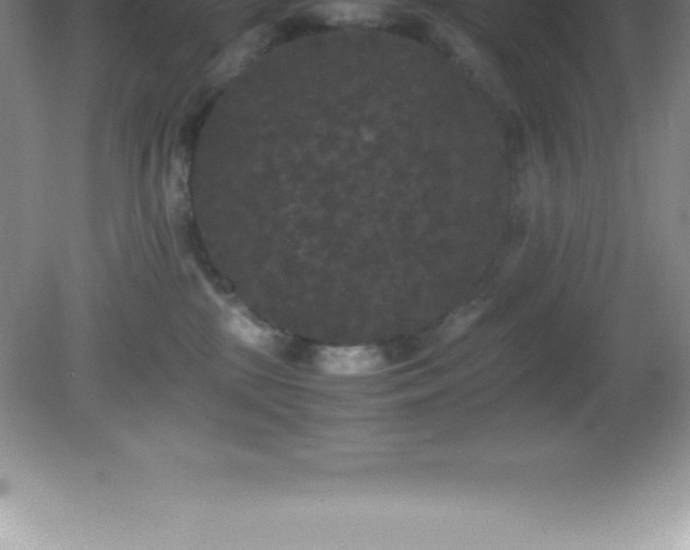 X0000081330281200701182002