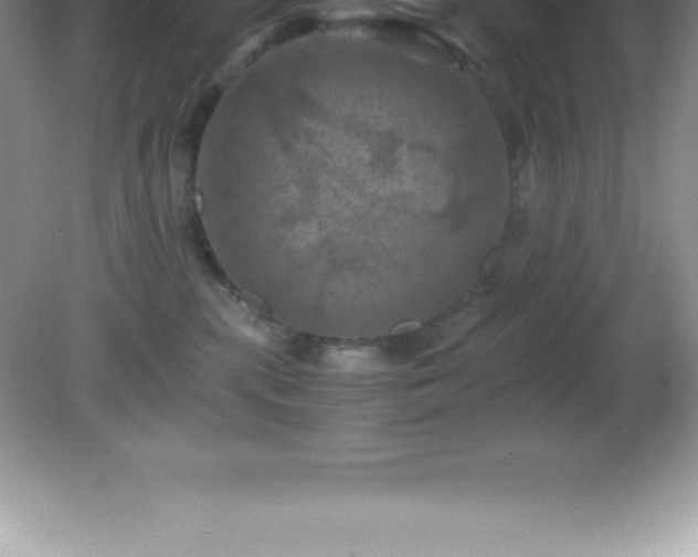 X0000081330283200701182002