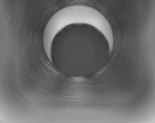 X0000081330284200701182002