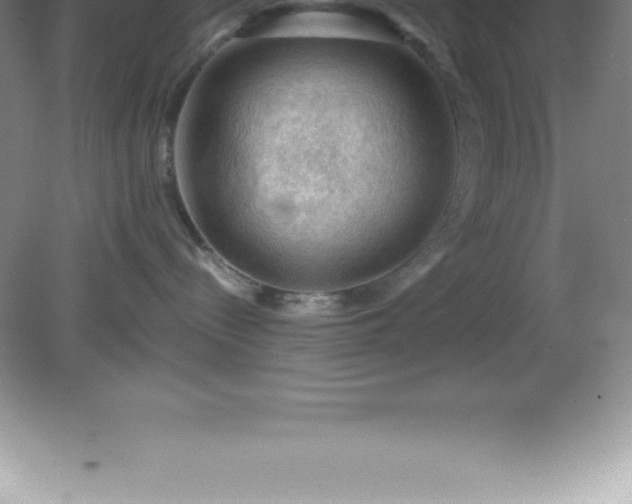 X0000081330288200701182002