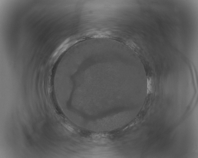 X0000081330291200701182001