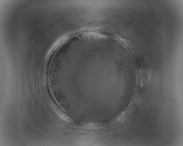 X0000081330293200701182001