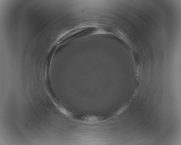 X0000081330301200701182001