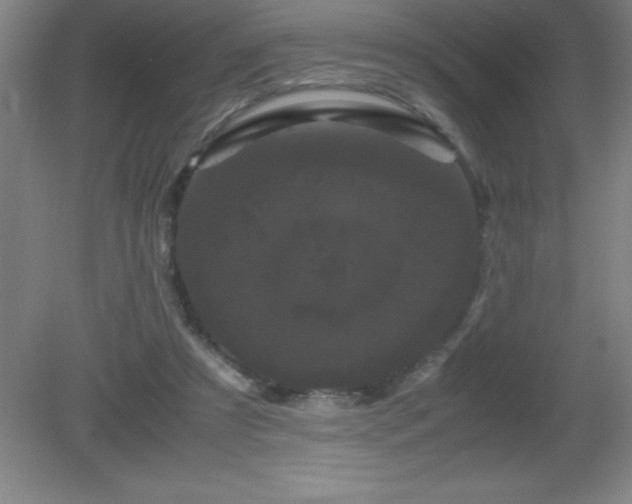 X0000081330305200701182001