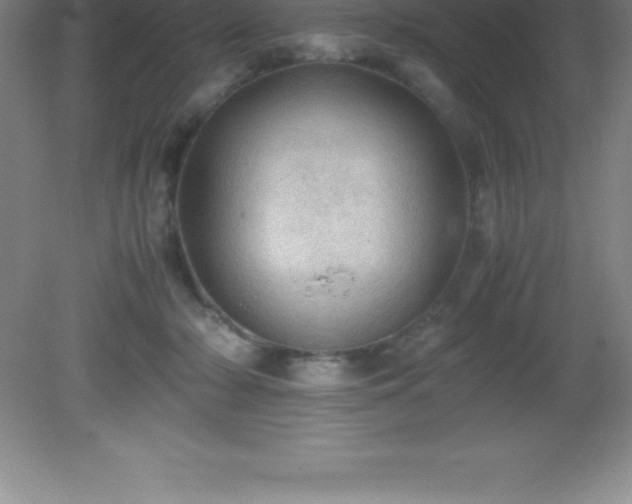 X0000081330318200701182001