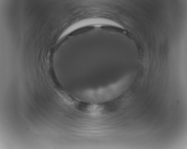 X0000081330319200701182001