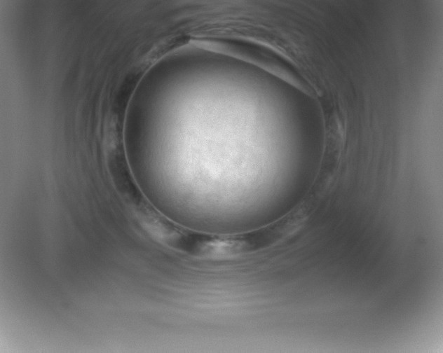 X0000081330323200701182001