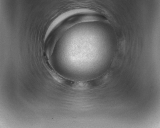 X0000081330329200701182001