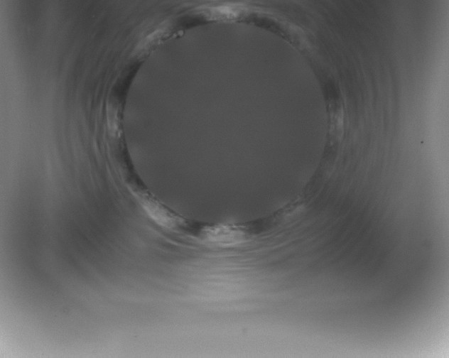 X0000081330331200701182001