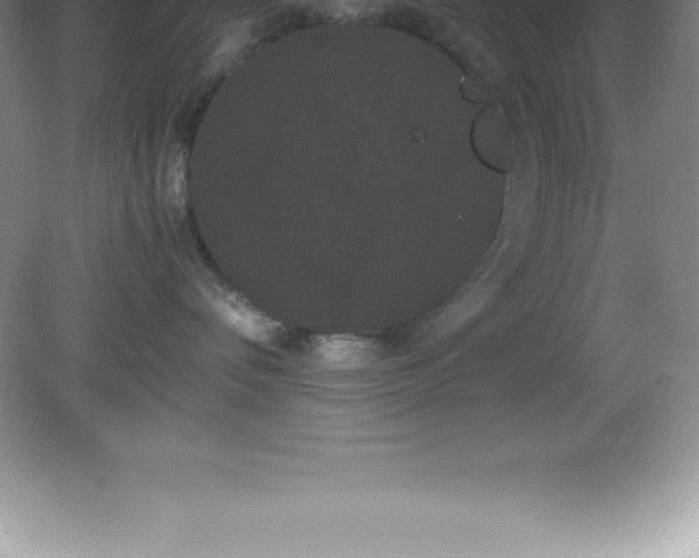 X0000081330336200701182001
