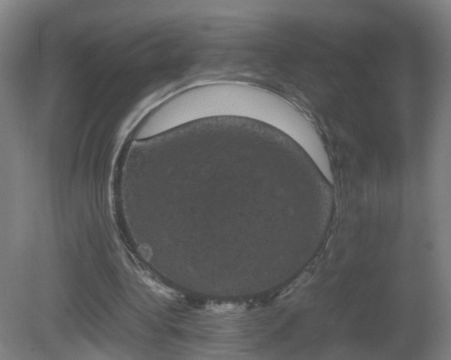 X0000081330340200701182000
