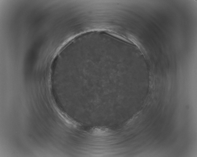 X0000081330346200701182000