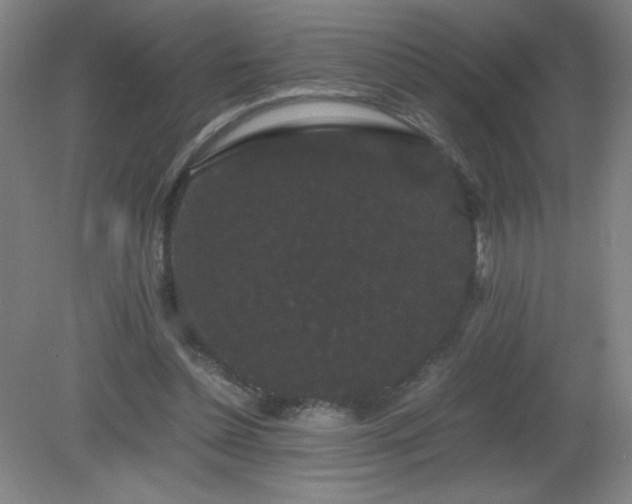 X0000081330348200701182000