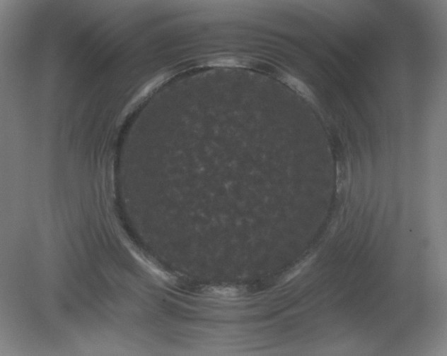 X0000081330349200701182000