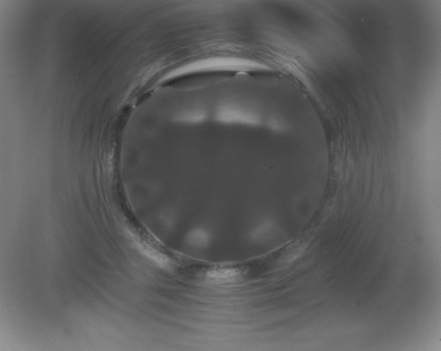 X0000081330357200701182000