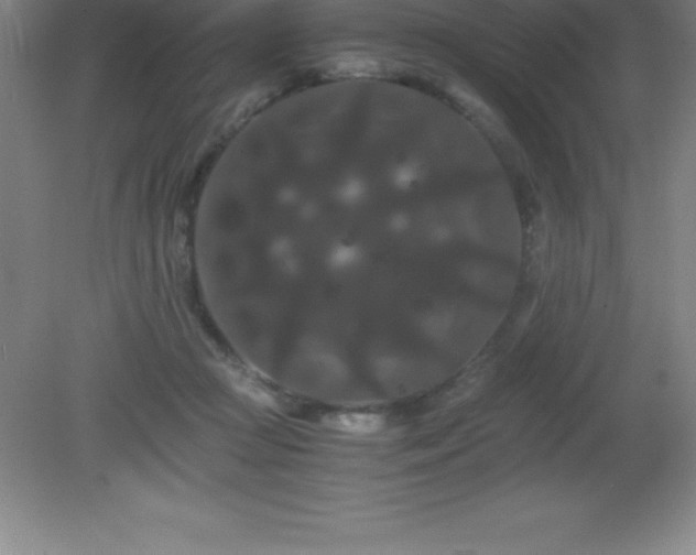 X0000081330361200701182000