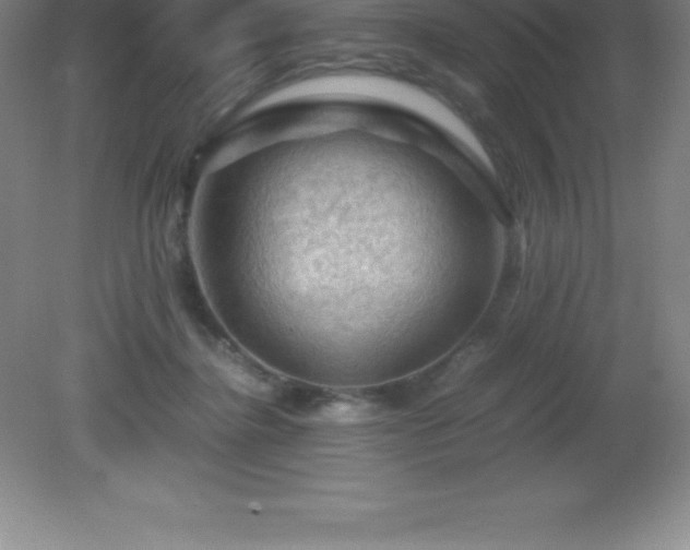 X0000081330364200701182000