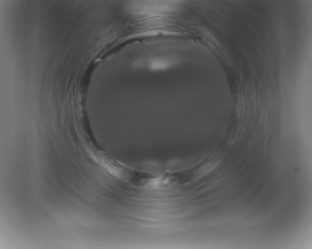 X0000081330366200701182000