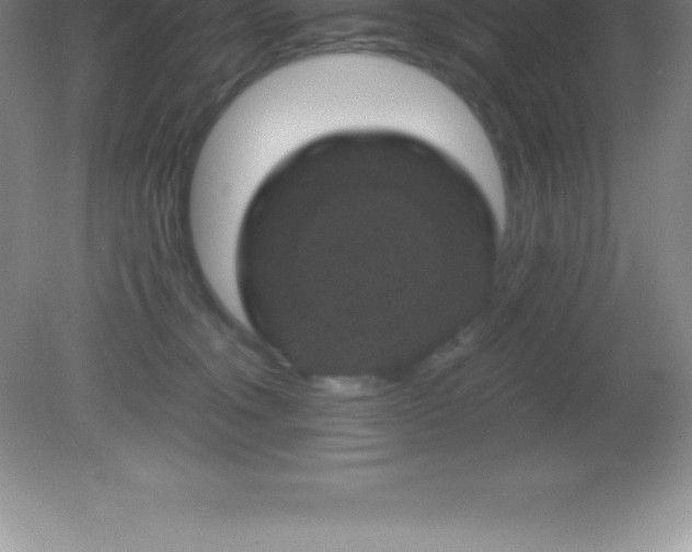 X0000081330372200701182000