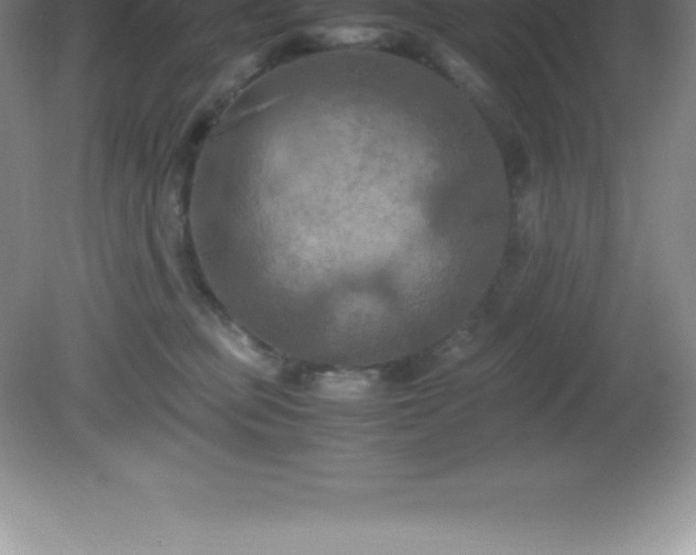 X0000081330373200701182000