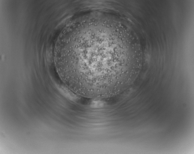 X0000081330376200701182001