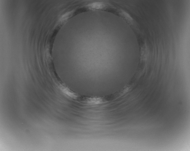 X0000081330377200701182001