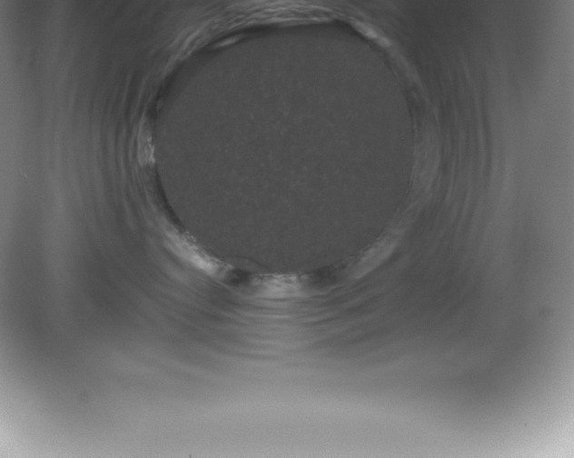 X0000081330384200701182001