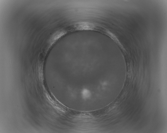 X0000081330386200701182000