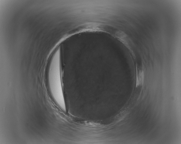 X0000081330387200701182000