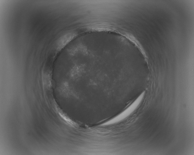 X0000081330393200701182000