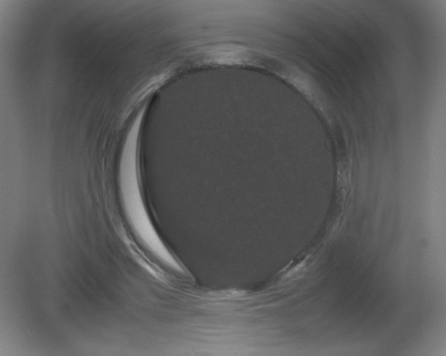 X0000081330397200701182000