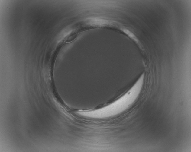 X0000081330399200701182000