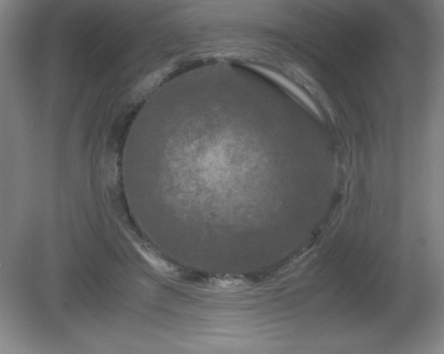 X0000081330401200701182000