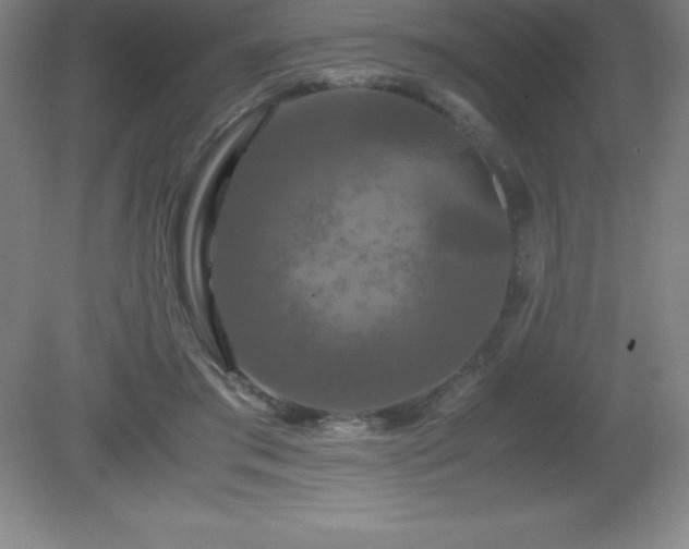 X0000081330405200701182000