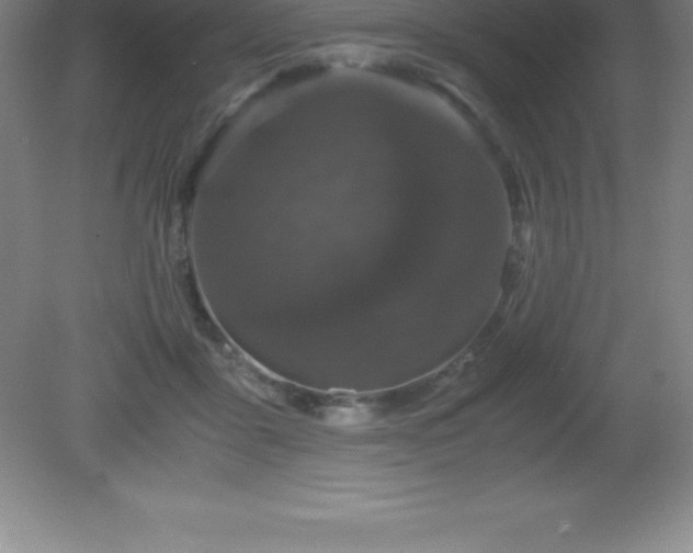 X0000081330411200701181959