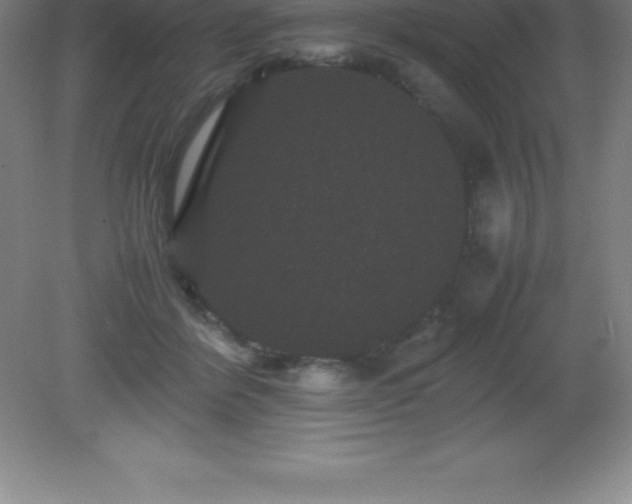 X0000081330412200701181959